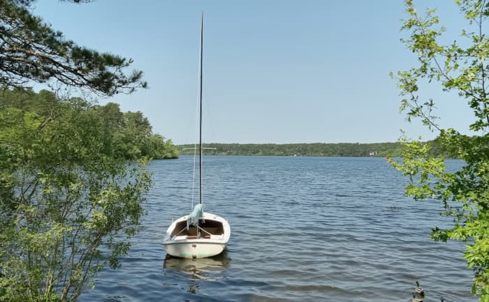 Basic Sailing Course